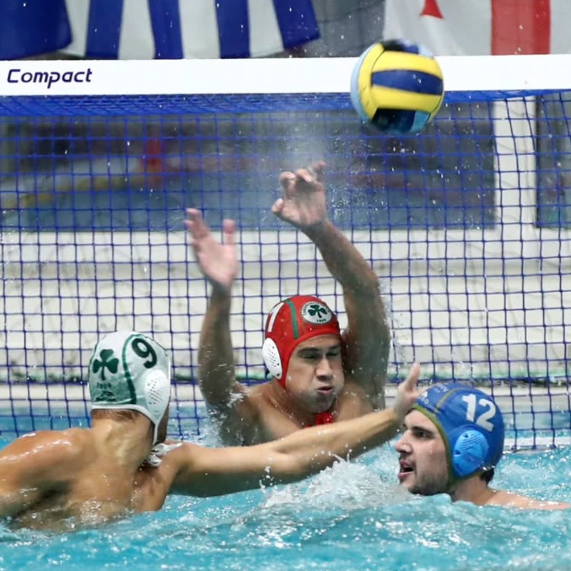 USA Water Polo tweet media