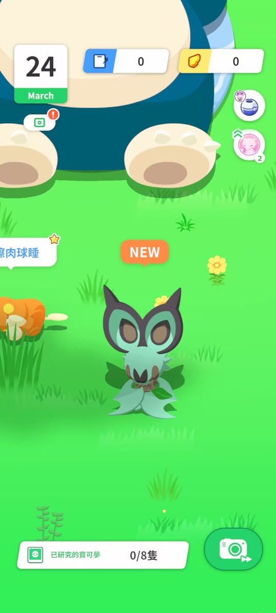 遇到的第一只就是闪——!