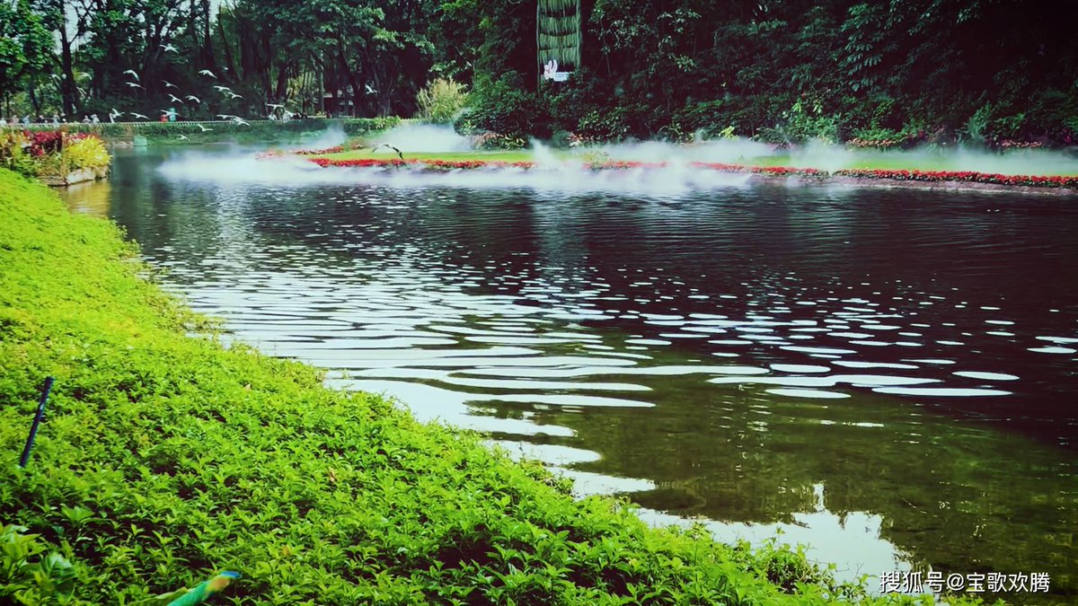 Cathie Starr tweet media