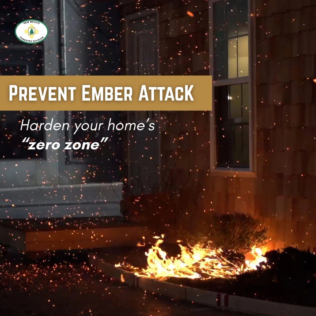 New Mexico Forestry Division tweet media