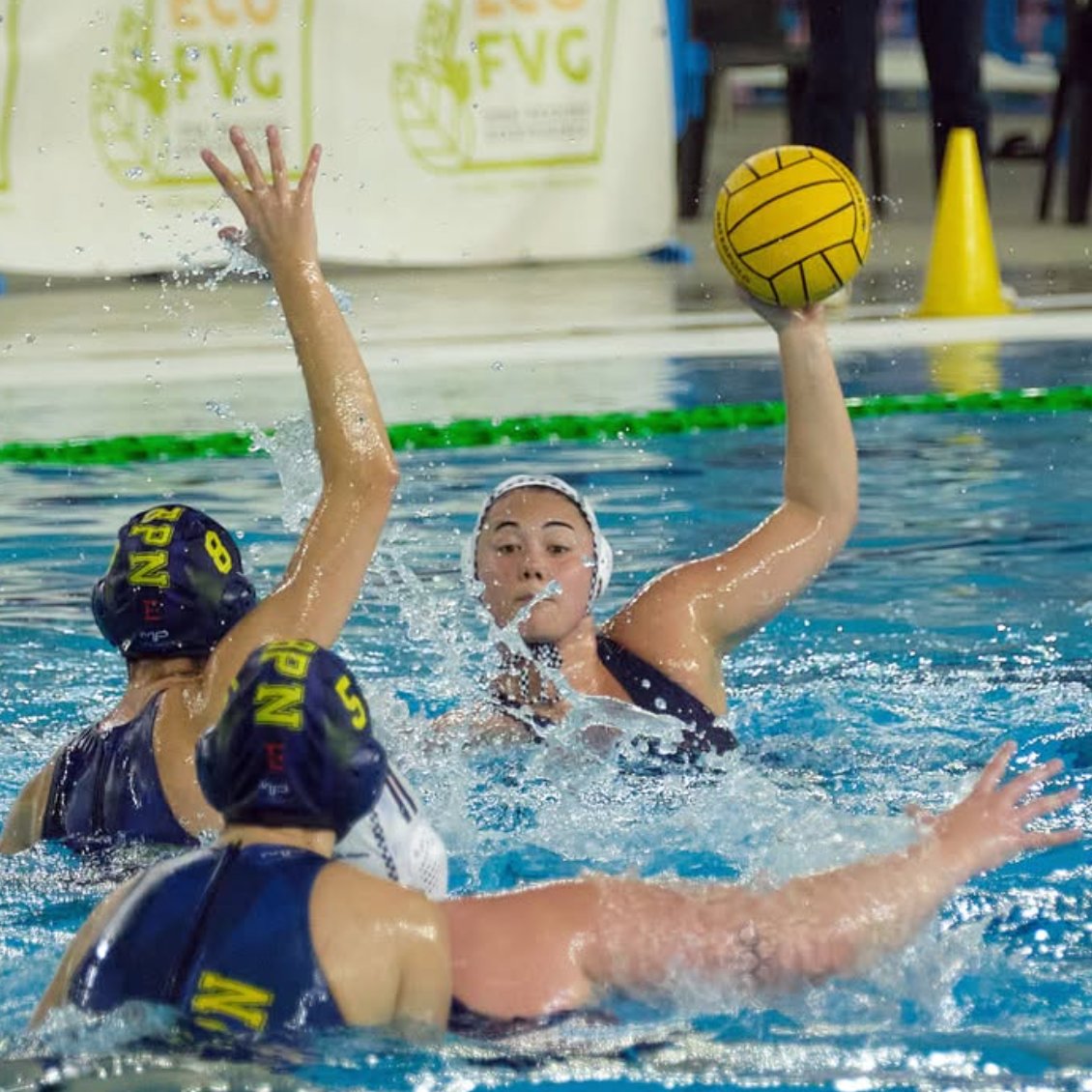 USA Water Polo tweet media