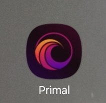 Mr Bloom tweet media