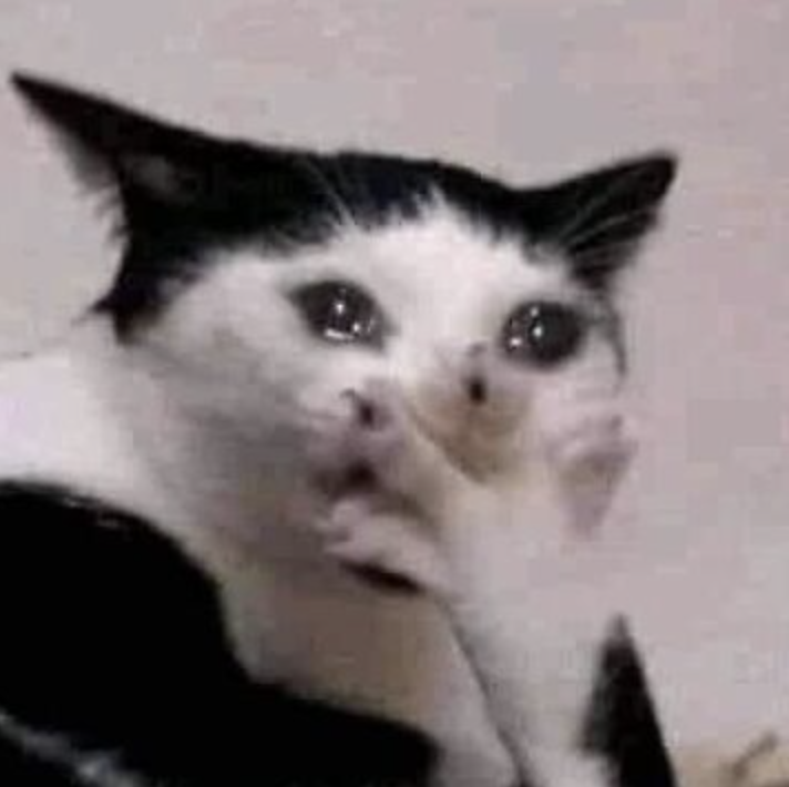 realPablitonizer tweet media