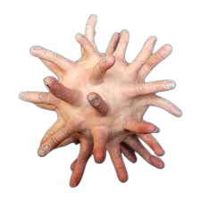 Crelly Virus 🎱🐮 tweet media