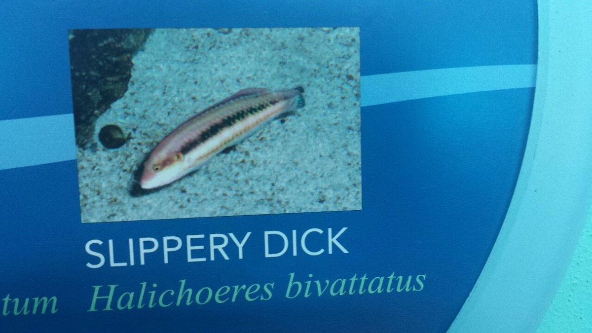 Leon Kennedy of edtwt tweet media