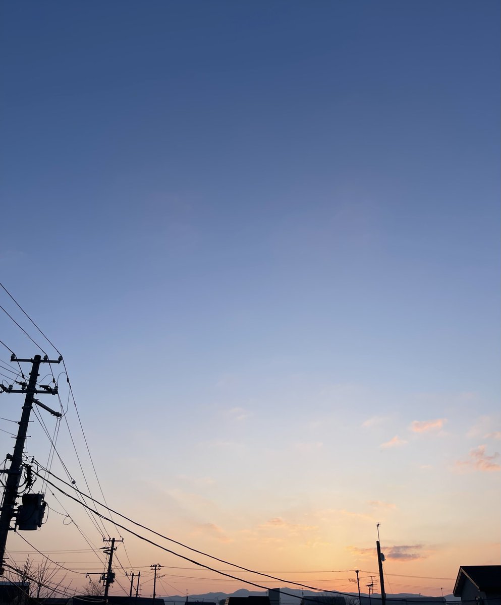 りおん tweet media