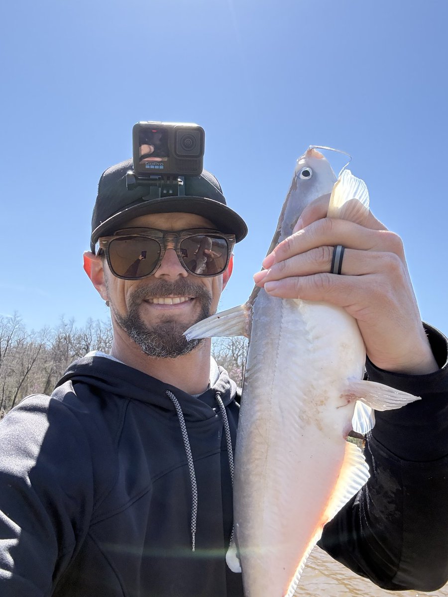 CodyAlanBlack tweet media