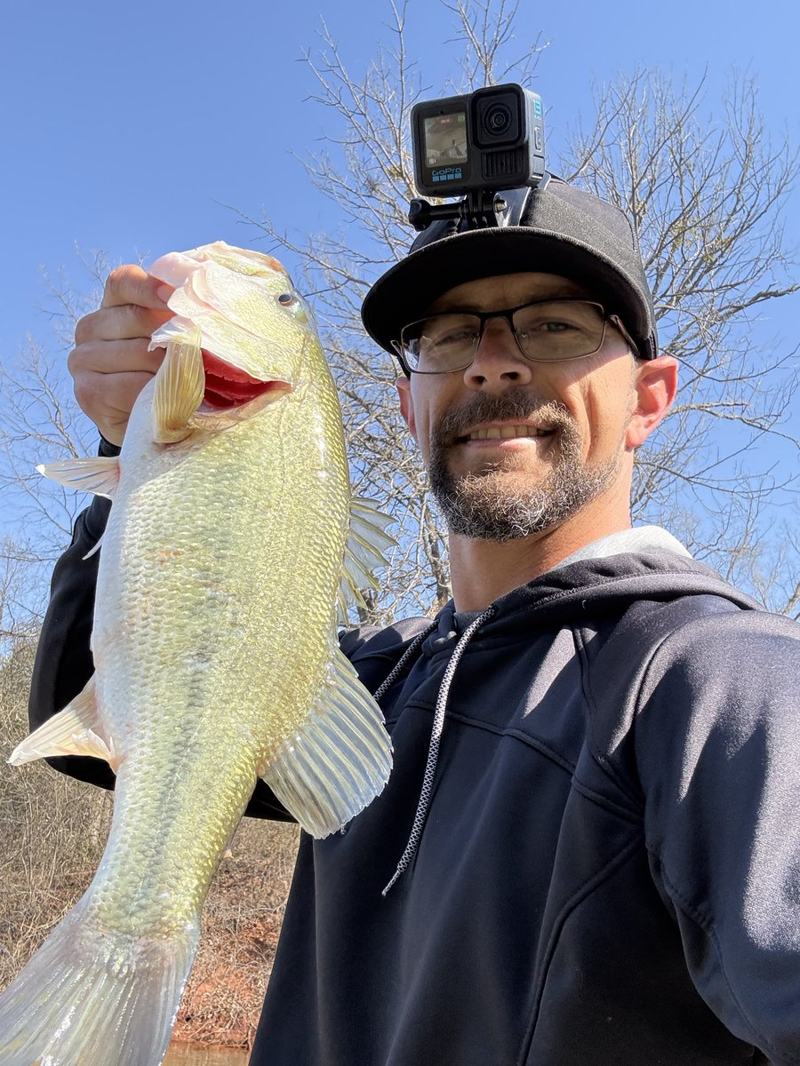 CodyAlanBlack tweet media