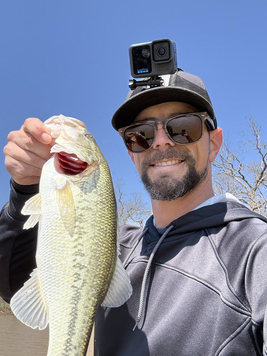 CodyAlanBlack tweet media