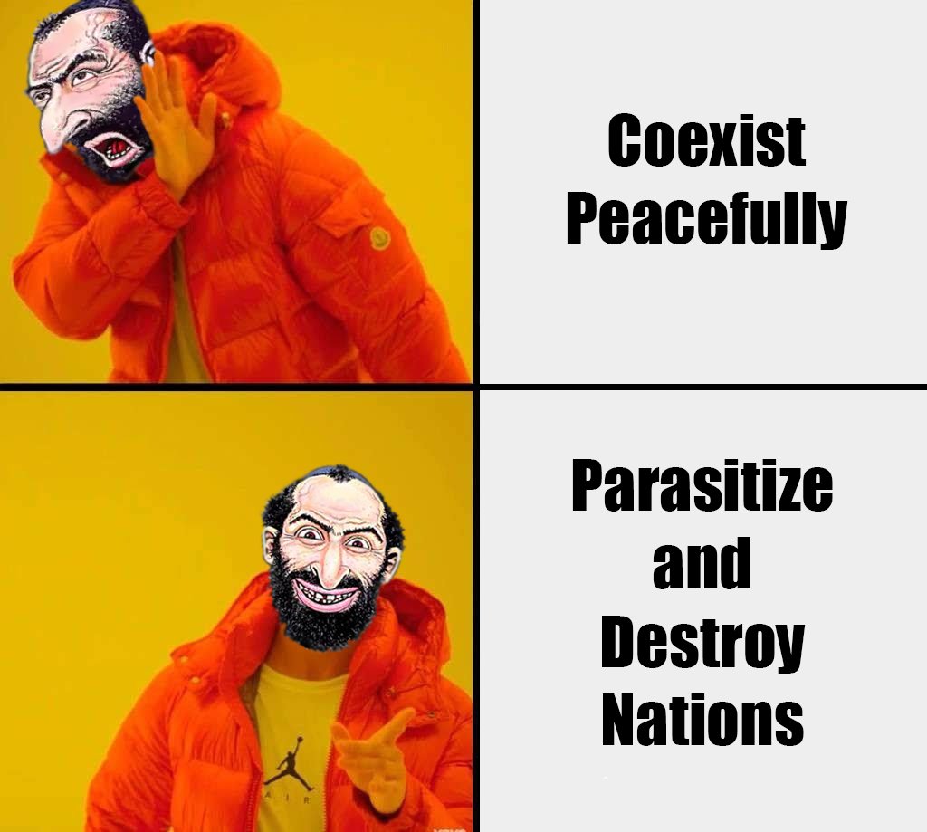 Rabbi Abraham Finkelstein tweet media