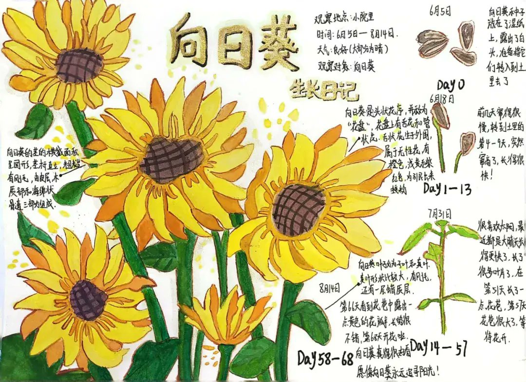 Arthur Oliveira tweet media