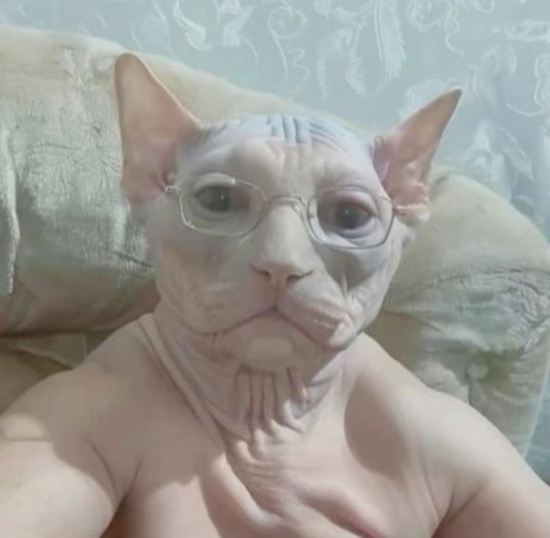 escapism tweet media