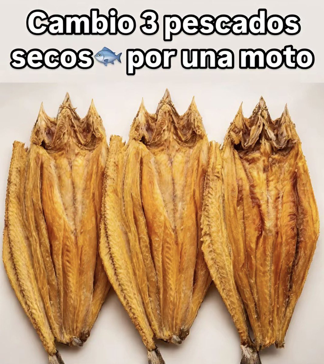 Silvia..🇸🇻💙 tweet media