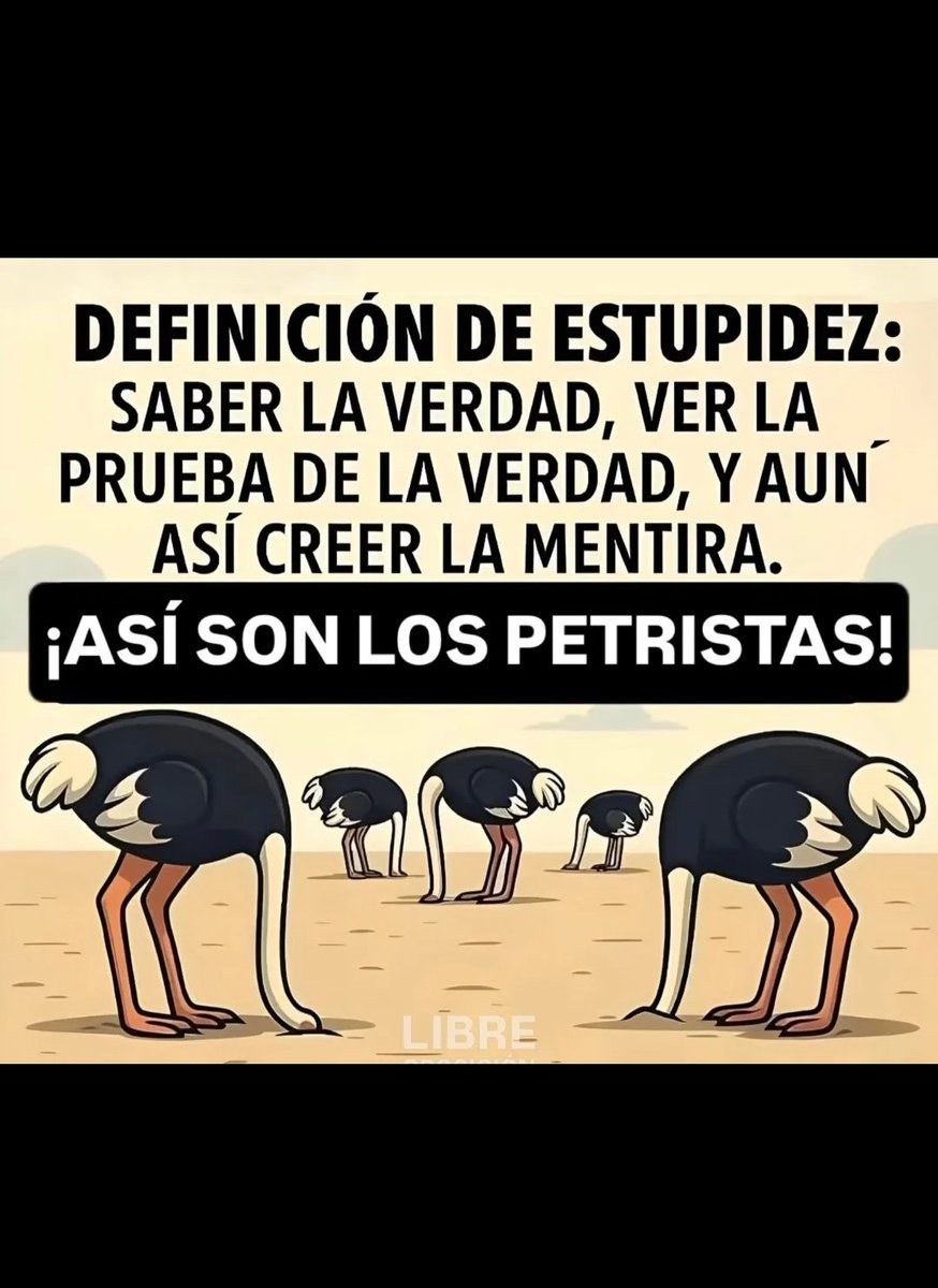 javier ojeda tweet media