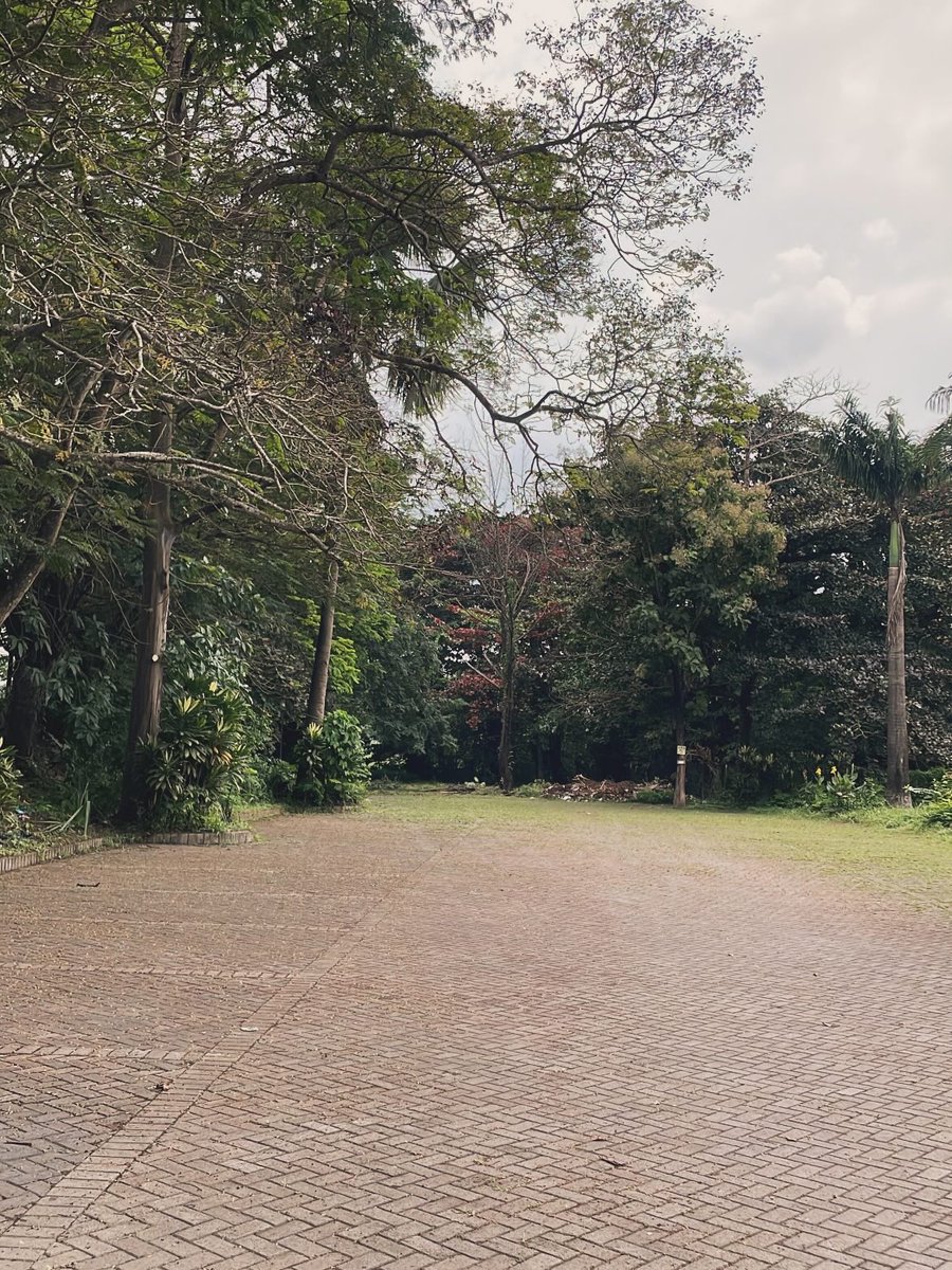 Agba Frenzi tweet media