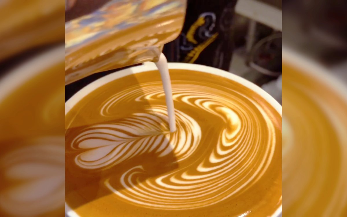 Anna emerald tweet media