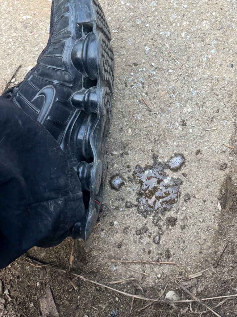 MasterSwagi 🇵🇱 tweet media