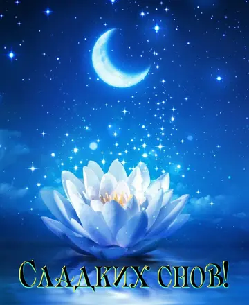 Гера tweet media