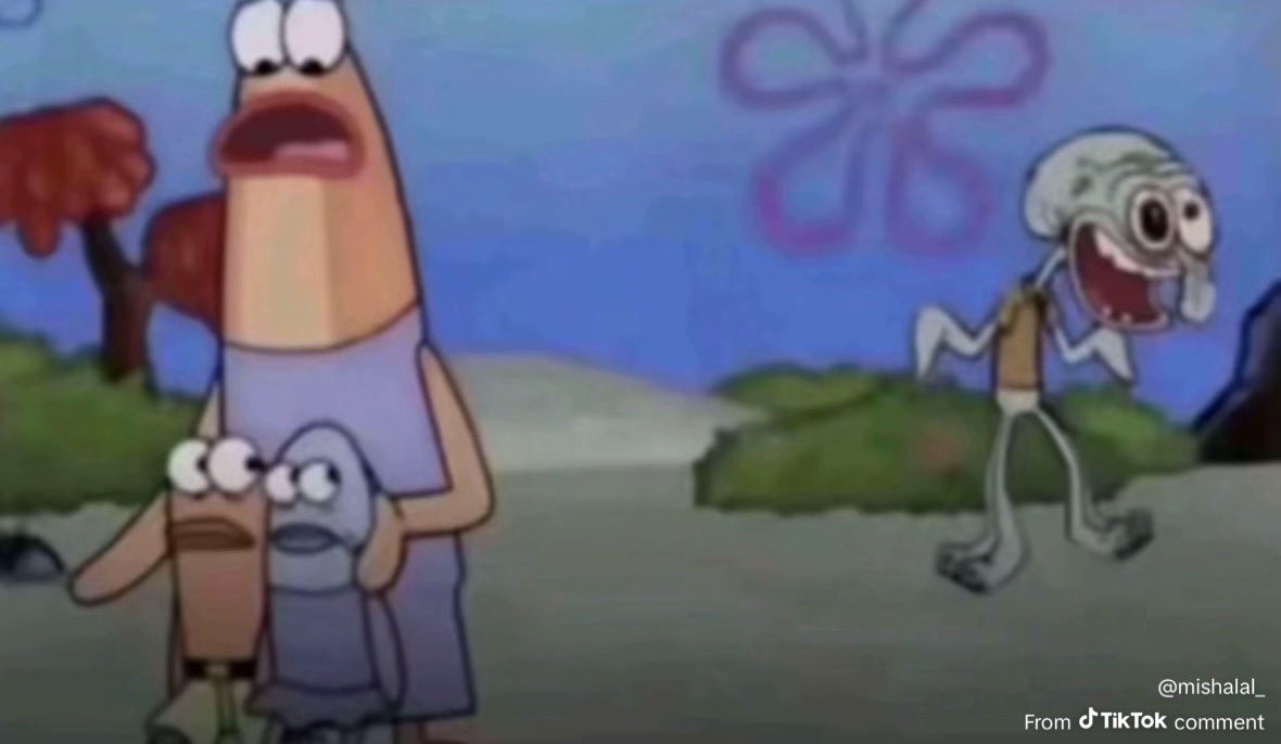 Concert 🕊 tweet media