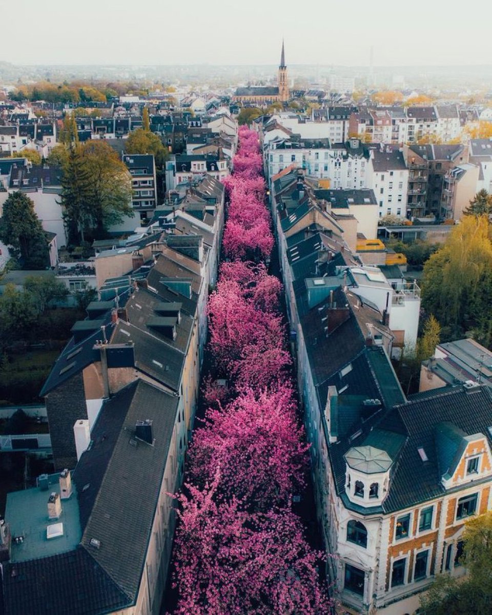 ReNature🦋 tweet media