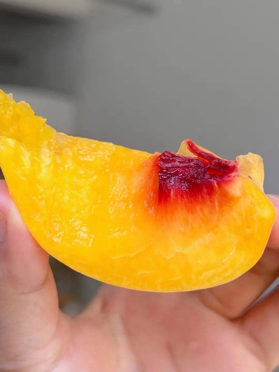 GRASS✈ tweet media