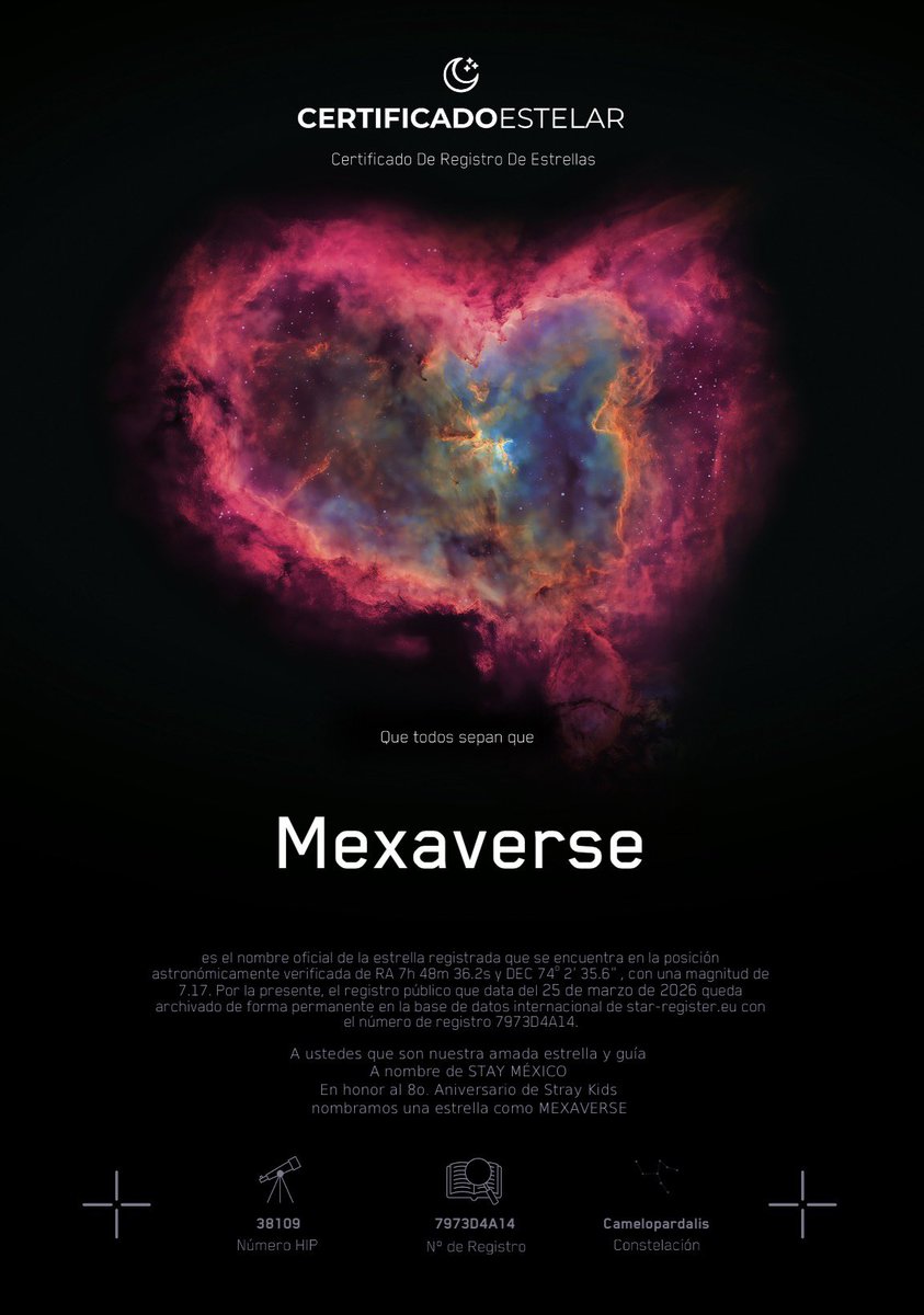 STAY-MÉXICO tweet media