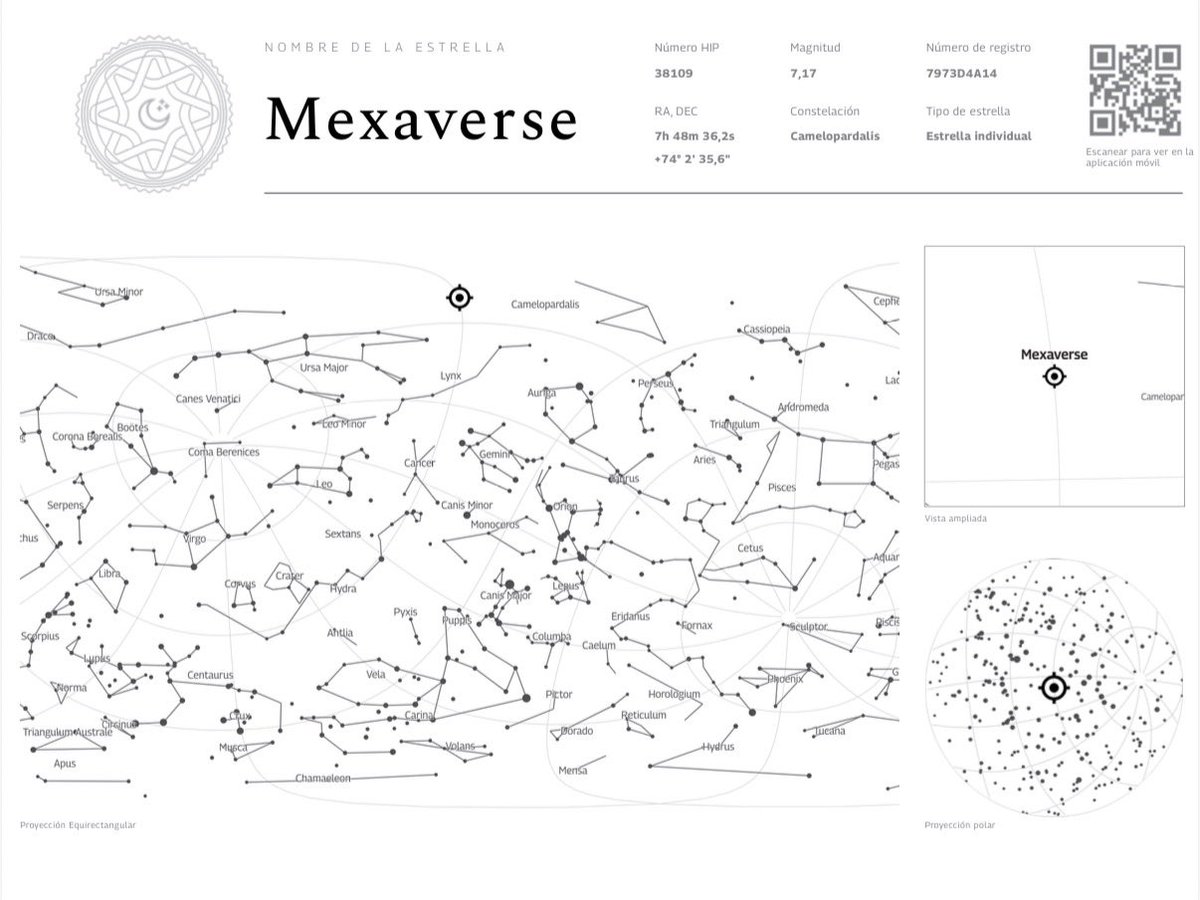 STAY-MÉXICO tweet media