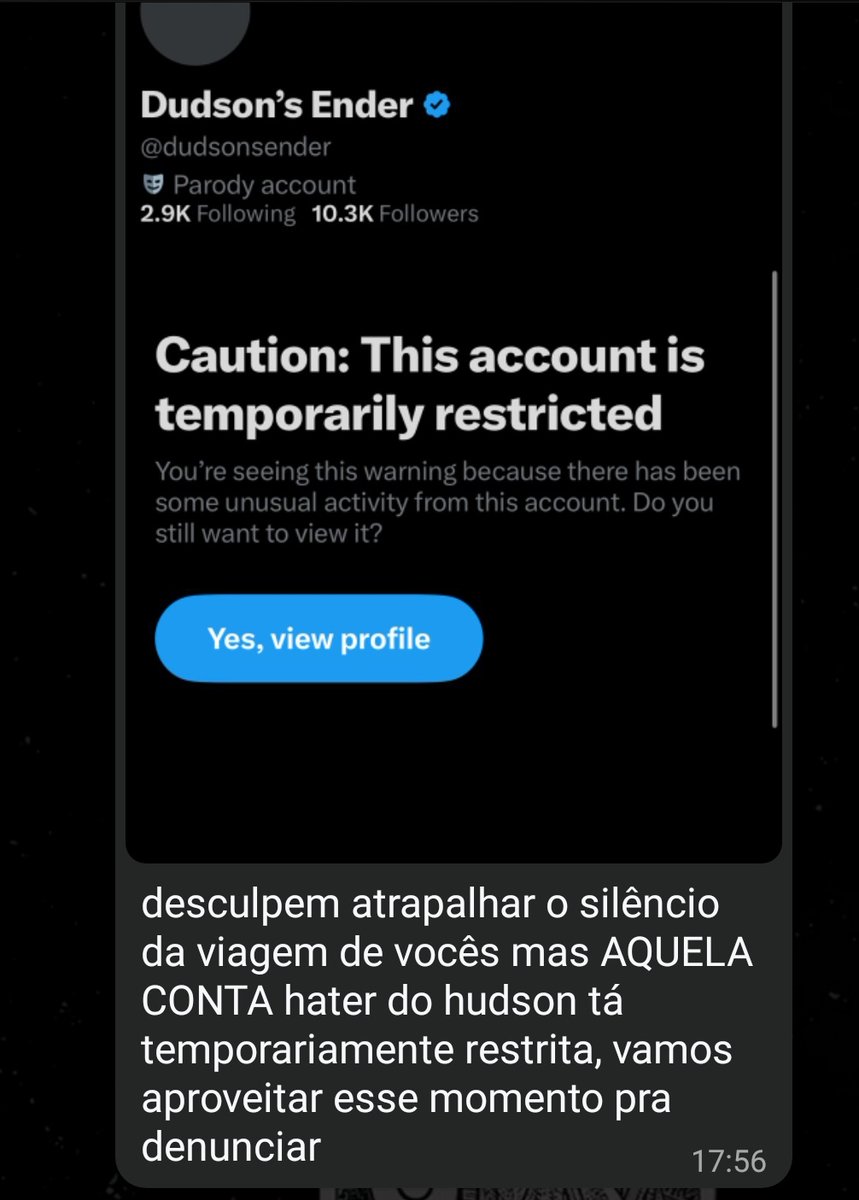 assessoria hudson williams tweet media