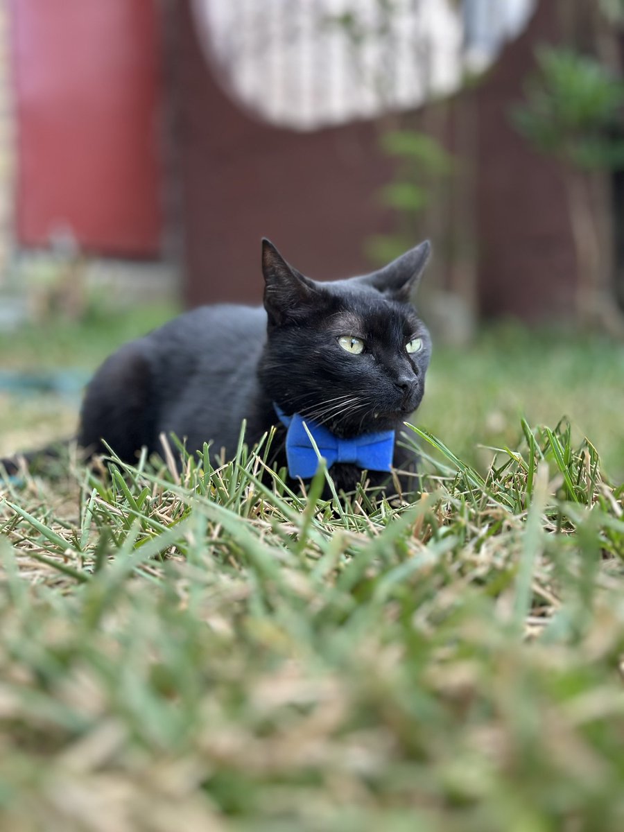 Roybinho🥋🏃🏾‍♂️🕹 tweet media