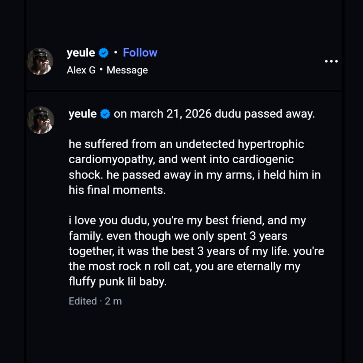 yeulestudies tweet media