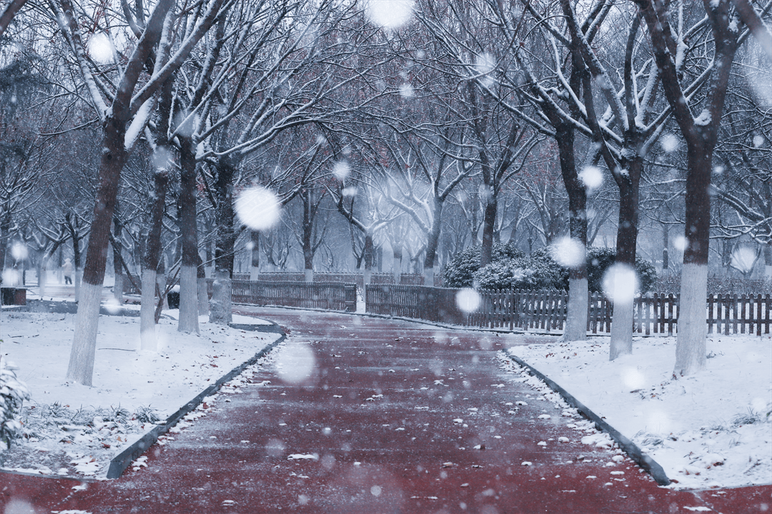 Dylan bocquet  tweet media