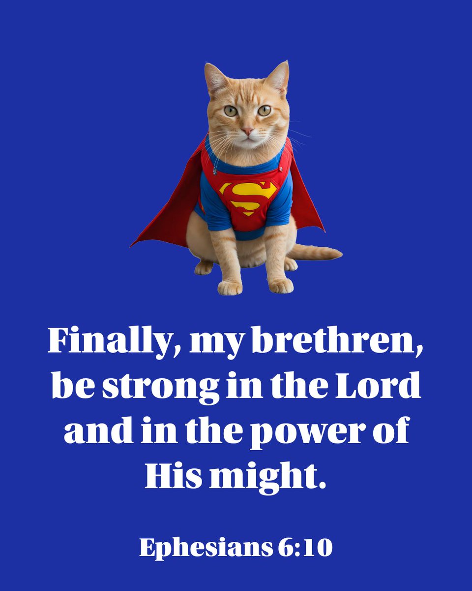 tweets_mb's tweet image. #Strength #Brethren #StrongInTheLord