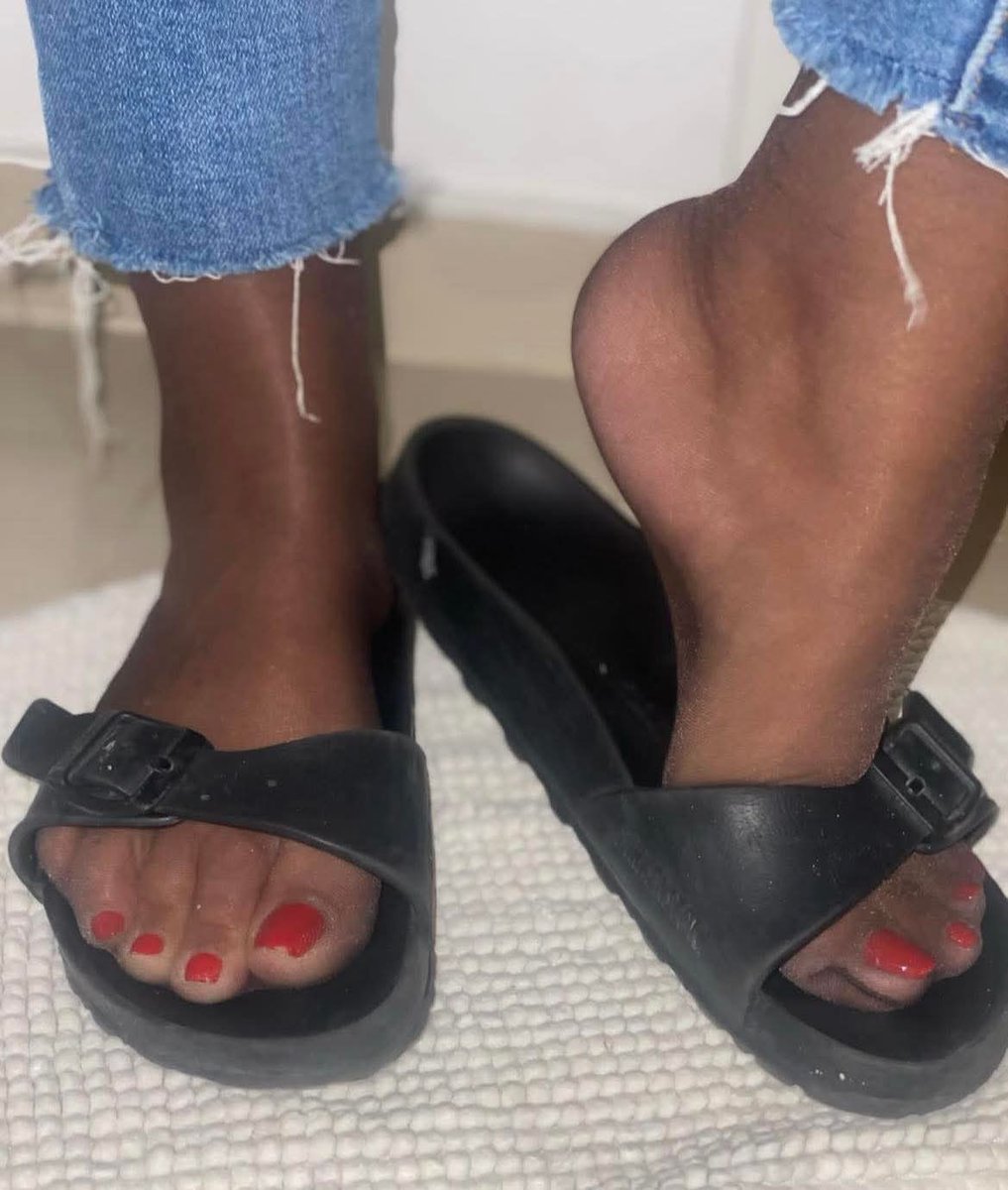 Caballero Nocturno tweet media