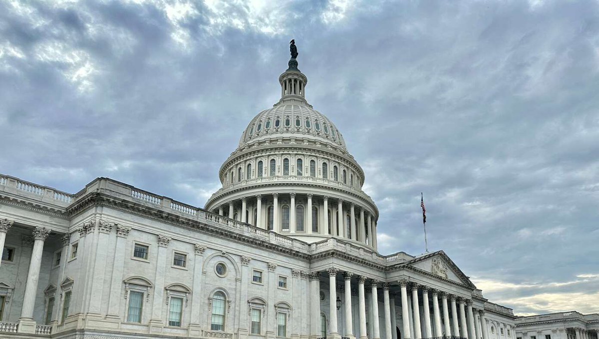 The Babylon Bee tweet media