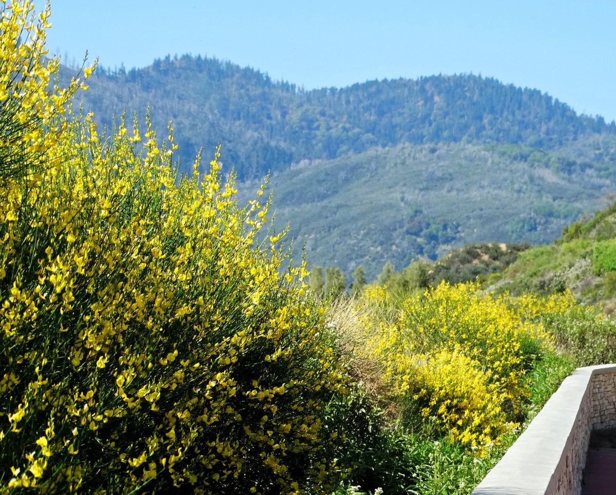 Fire Safe Marin tweet media