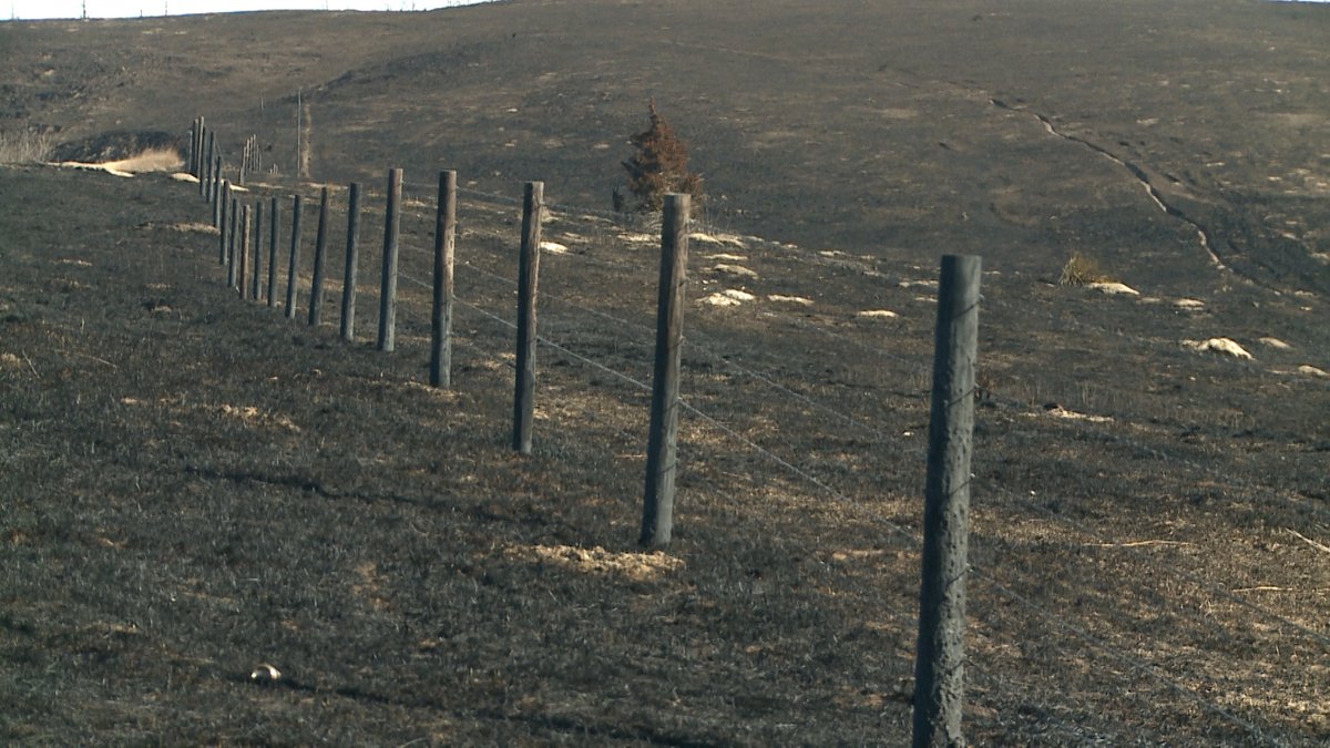 krvn's tweet photo. Brady FFA launches Cottonwood Fire fence drive https://t.co/wy5ZoQZ9Vj https://t.co/iDVehnG2Iy