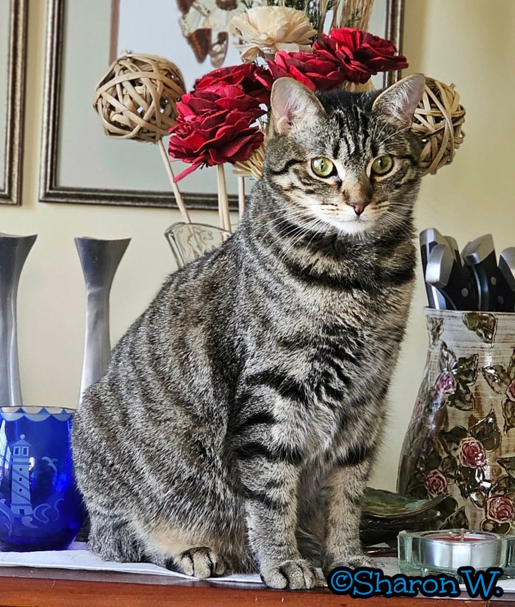 Robyn Anderson tweet media