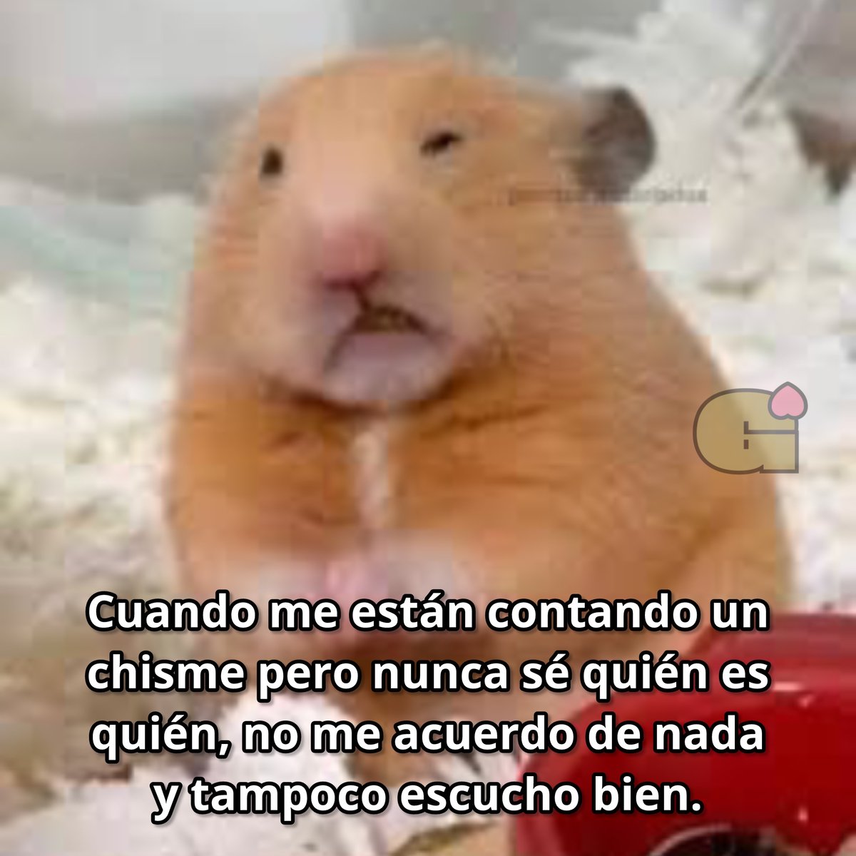 El Guarromántico tweet media