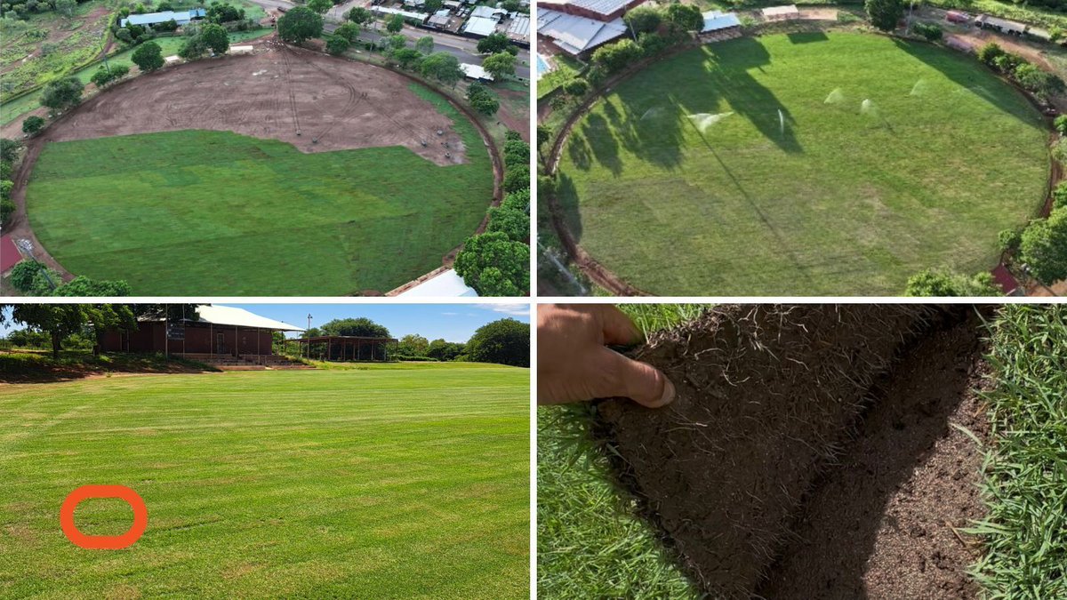 SPORTENG™ tweet media