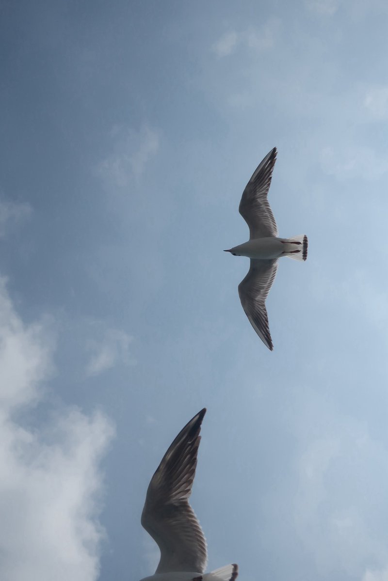 🇵🇹 عبدالله tweet media