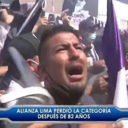 G(U)apo y Elegante 🏆29 tweet media