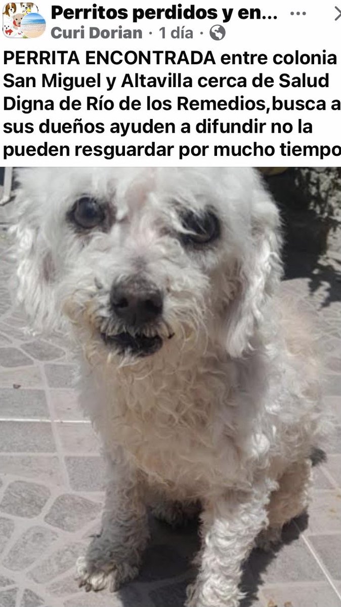 Dra Alejandra tweet media