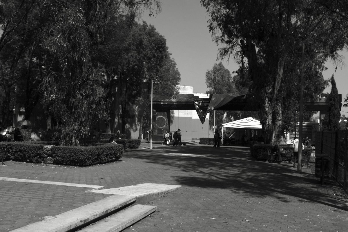 ゼディ (Zeddy) tweet media