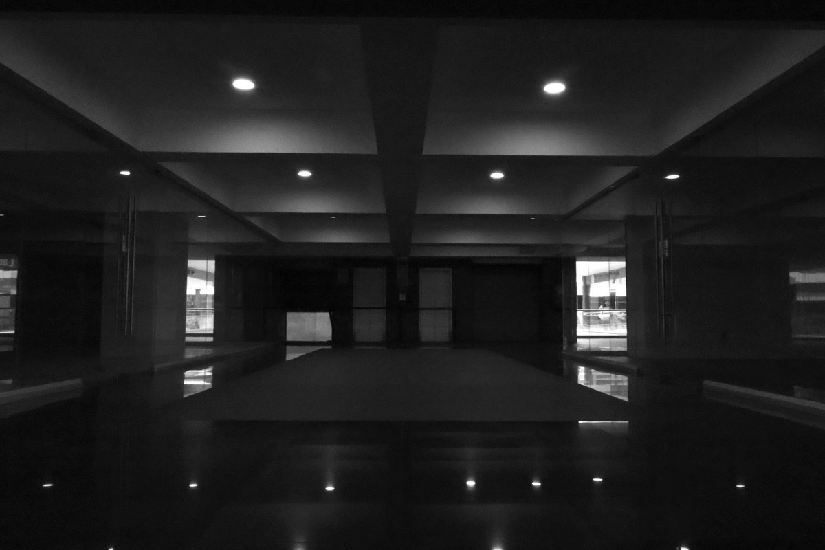 ゼディ (Zeddy) tweet media