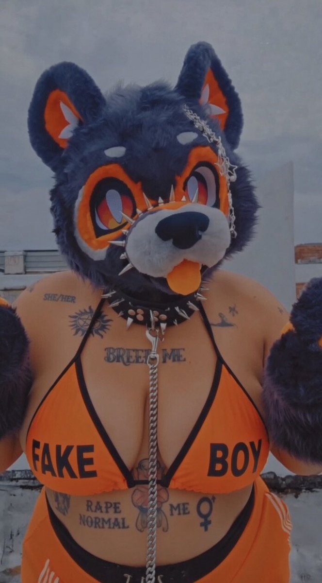 SniffSnuffPopufurs tweet media