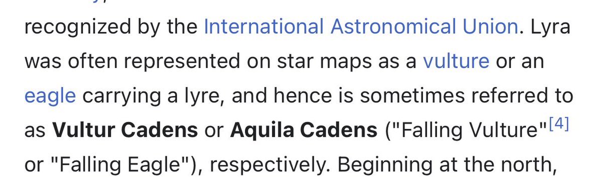 mara ⋆⭒˚.⋆ ⊬ ♡ tweet media