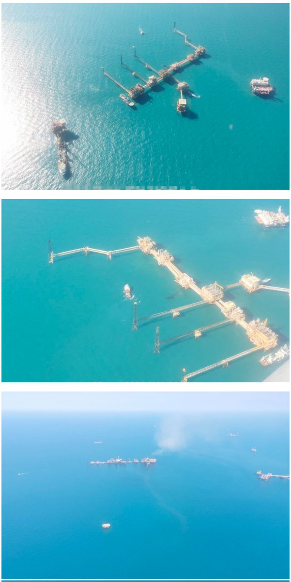 La Catrina Norteña tweet media