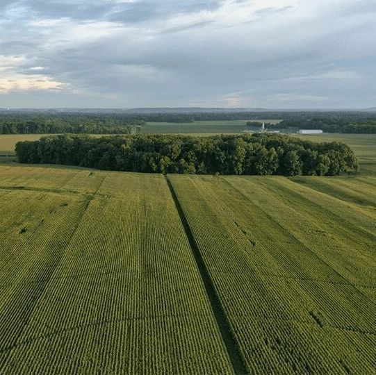 UNL Center for Ag Profitability tweet media