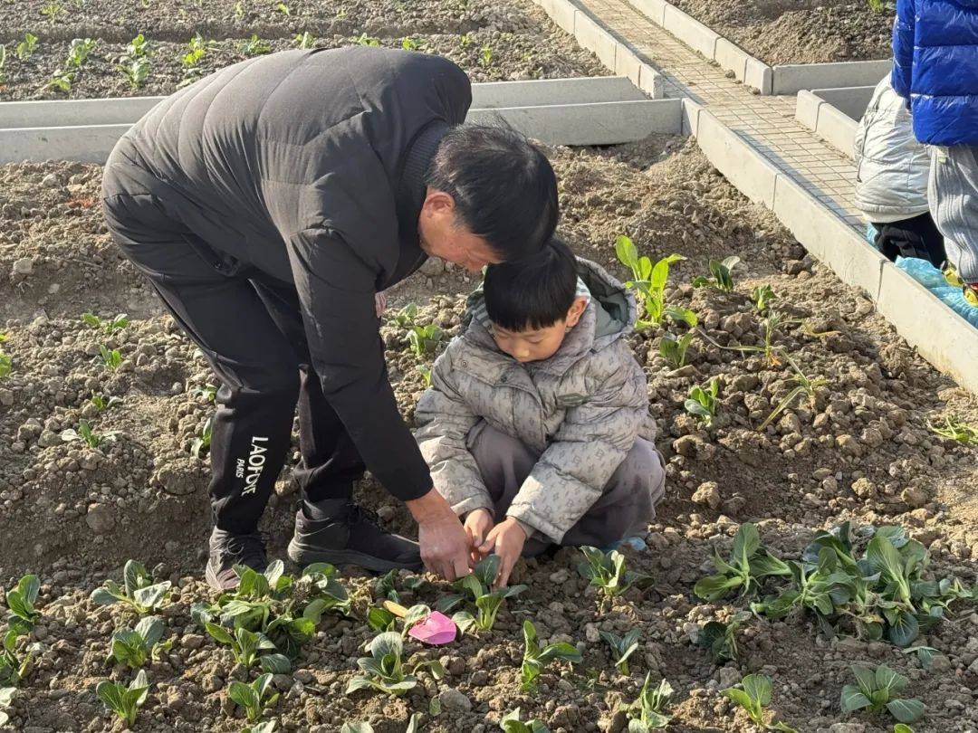 Doctor Suicide tweet media