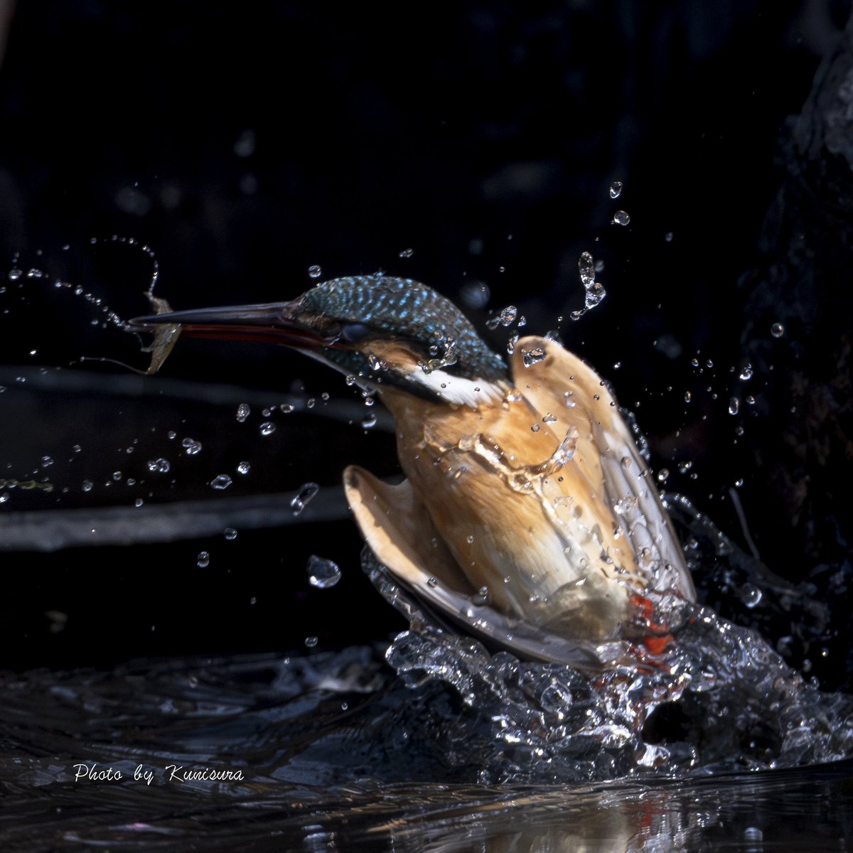 くにすら tweet media